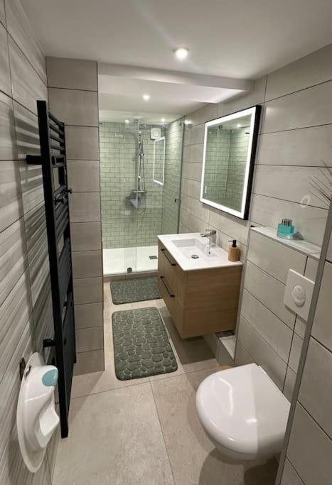 Le Briand Appartement 4Etoiles Nancy Thermal Cosy Avec Terrasse Wifi Exterior foto